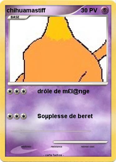 Pokemon chihuamastiff