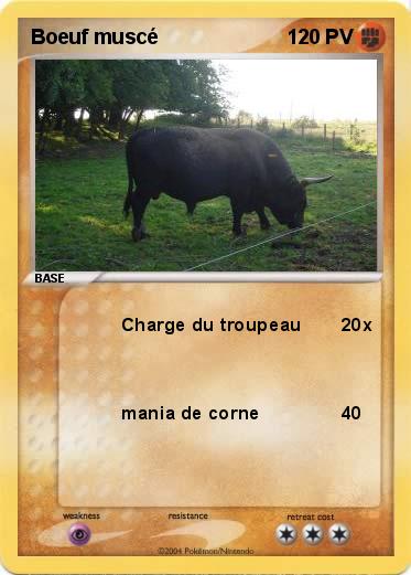 Pokemon Boeuf muscé