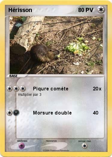 Pokemon Hérisson