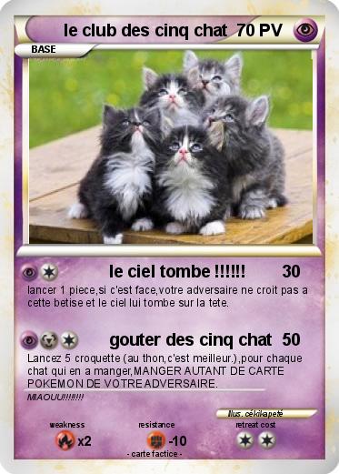 Pokemon le club des cinq chat