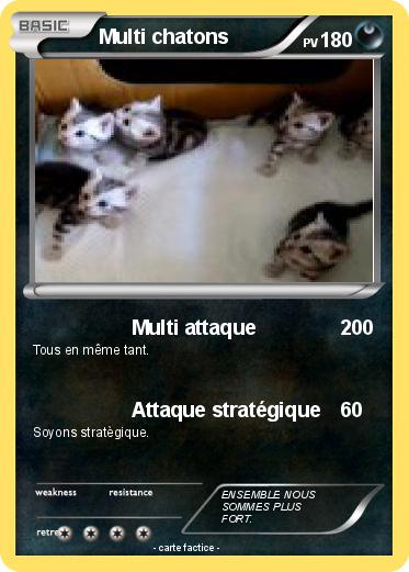 Pokemon Multi chatons