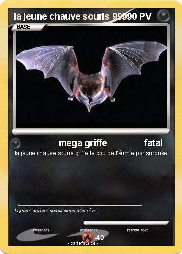 Pokemon la jeune chauve souris 999