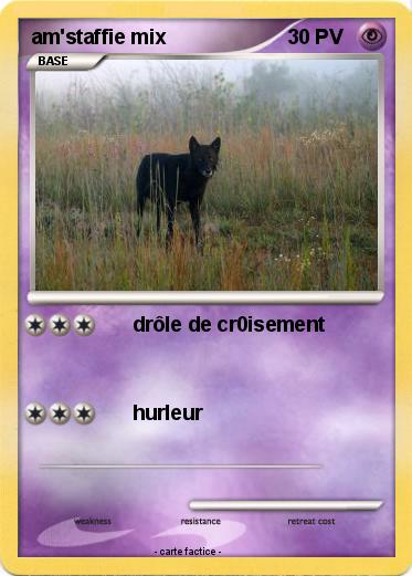 Pokemon am'staffie mix