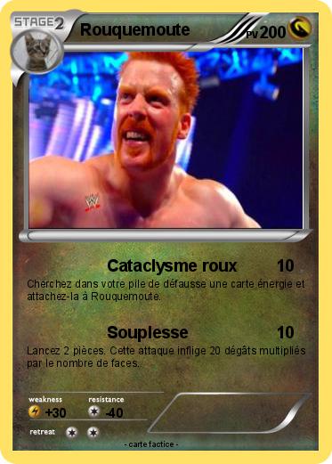 Pokemon Rouquemoute