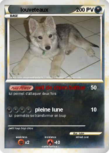 Pokemon louveteaux
