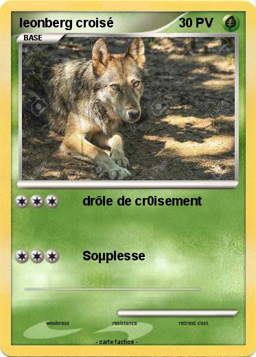 Pokemon leonberg croisé