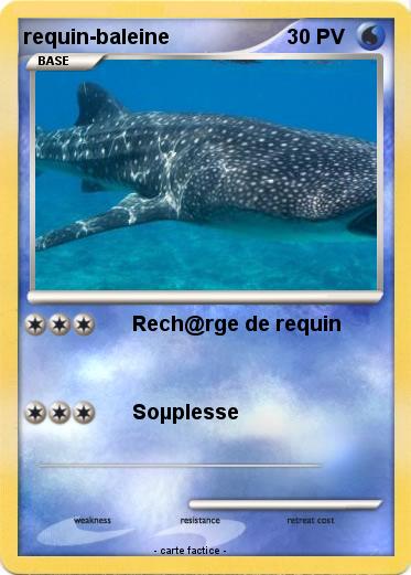 Pokemon requin-baleine