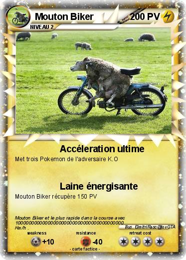Pokemon Mouton Biker