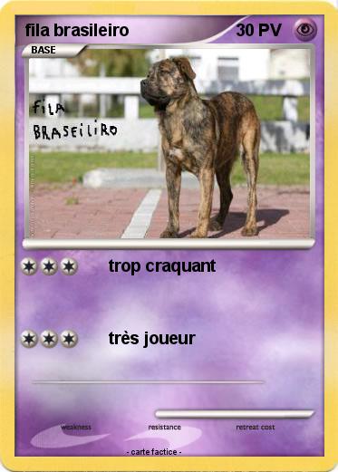 Pokemon fila brasileiro