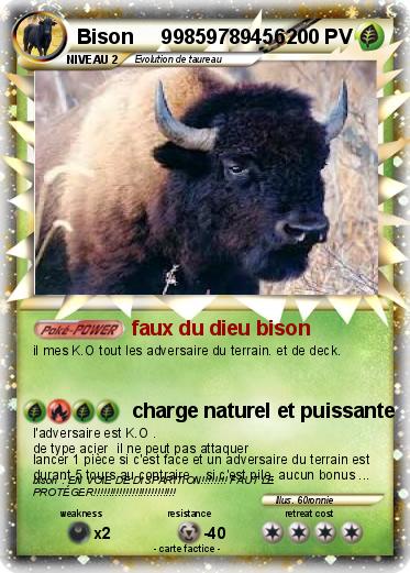 Pokemon Bison     99859789456