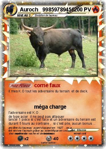 Pokemon Auroch   99859789456