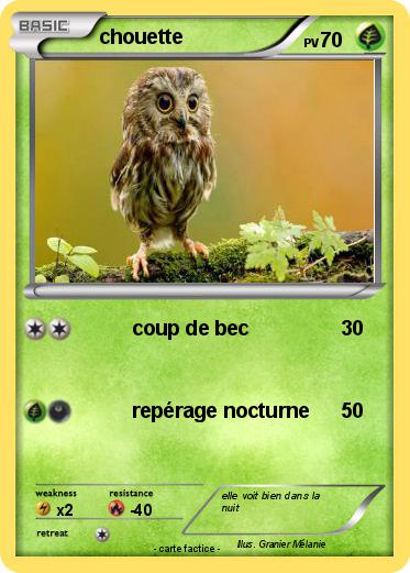 Pokemon chouette