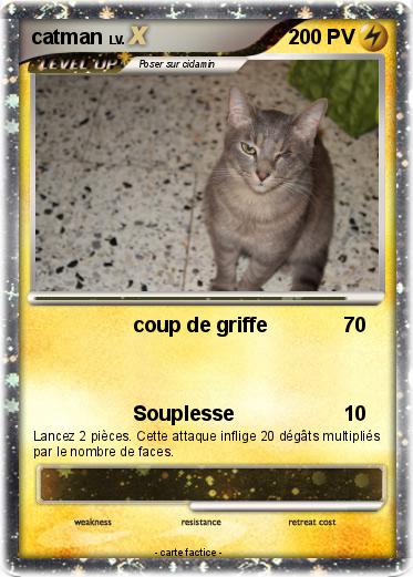 Pokemon catman