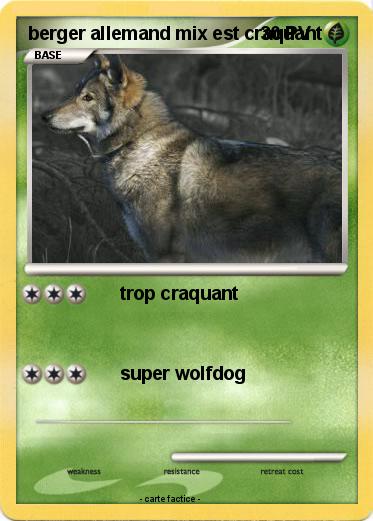 Pokemon berger allemand mix est craquant