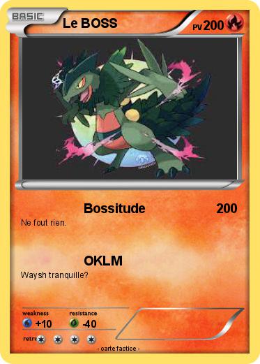 Pokemon Le BOSS
