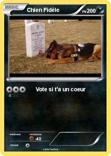 Pokemon Chien Fidèle