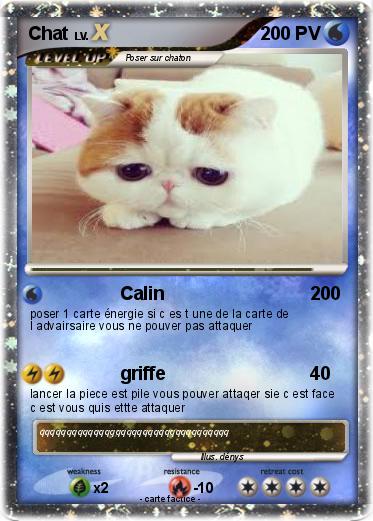 Pokemon Chat