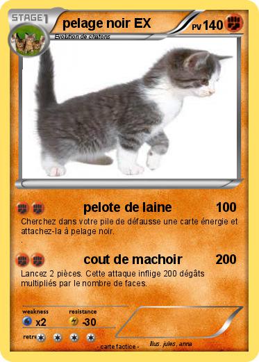 Pokemon pelage noir EX