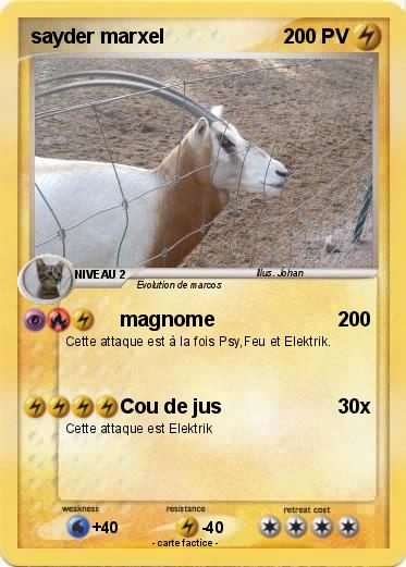 Pokemon sayder marxel