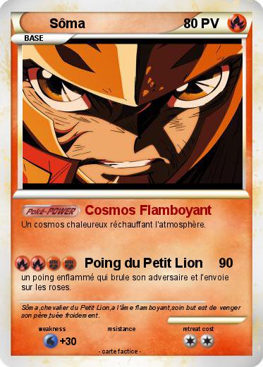Pokemon Sôma