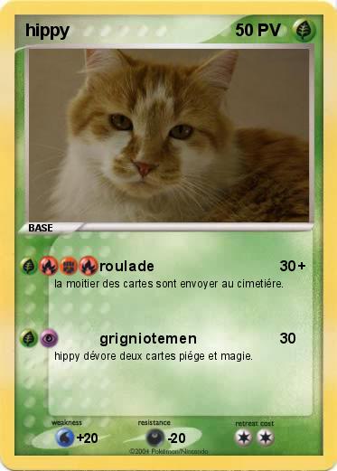 Pokemon hippy