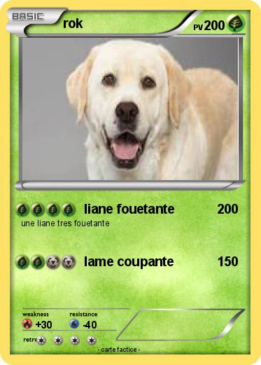 Pokemon rok