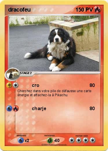Pokemon dracofeu