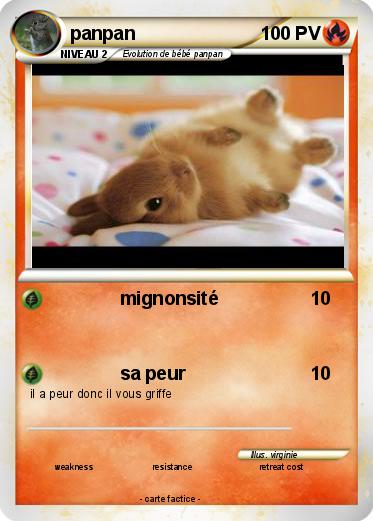 Pokemon panpan