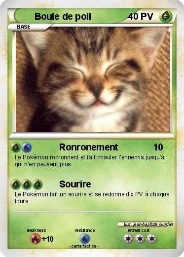 Pokemon Boule de poil