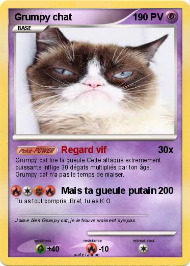 Pokemon Grumpy chat