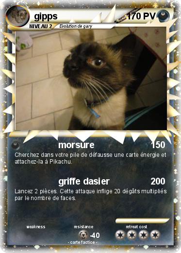 Pokemon gipps