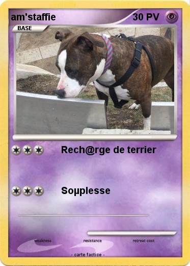 Pokemon am'staffie