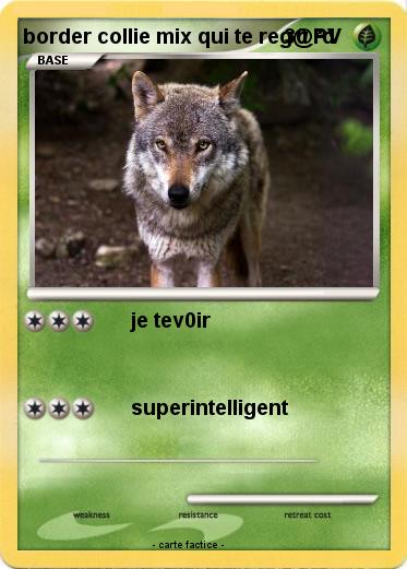 Pokemon border collie mix qui te reg@rd