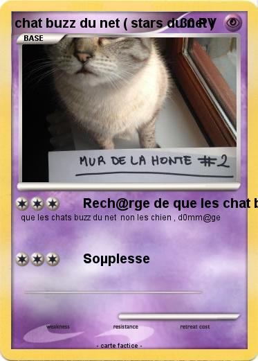 Pokemon chat buzz du net ( stars du net )