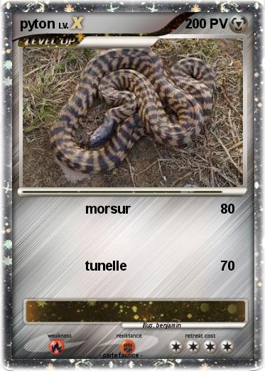 Pokemon pyton