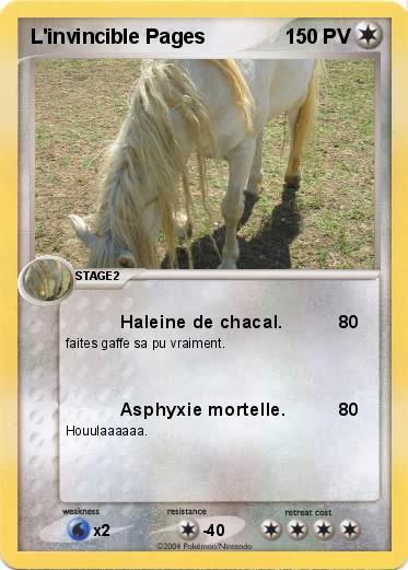 Pokemon L'invincible Pages