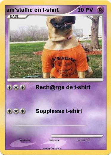 Pokemon am'staffie en t-shirt