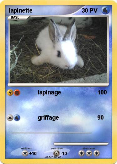 Pokemon lapinette
