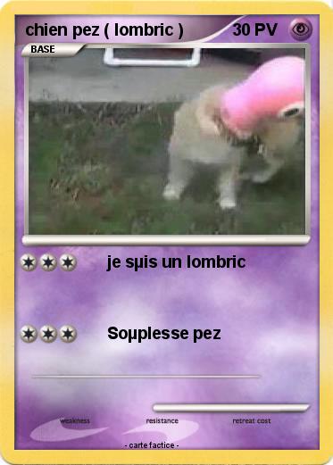 Pokemon chien pez ( lombric )