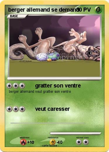 Pokemon berger allemand se demand