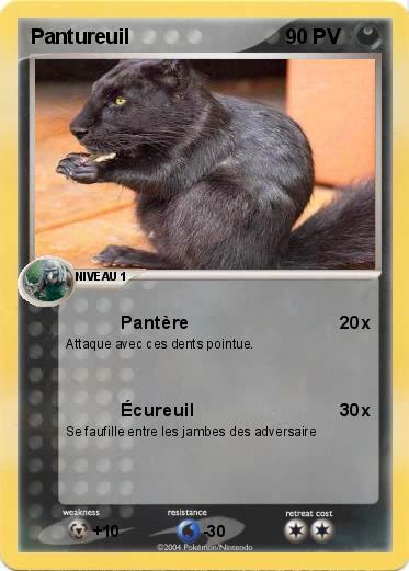 Pokemon Pantureuil