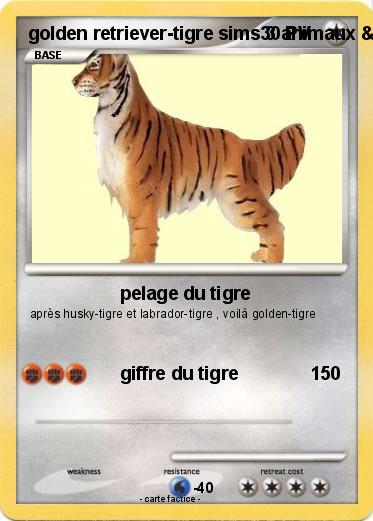 Pokemon golden retriever-tigre sims 3 animaux & cie