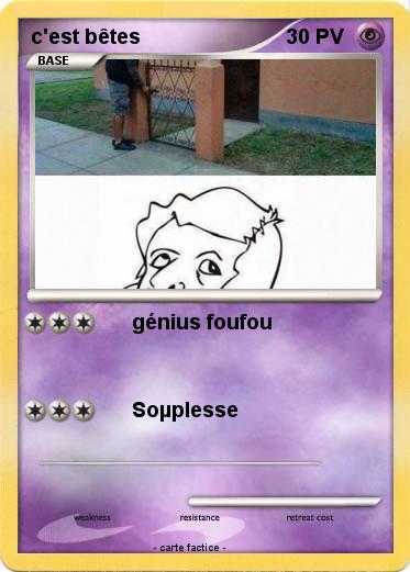 Pokemon c'est bêtes