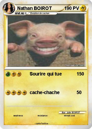 Pokemon Nathan BOIROT