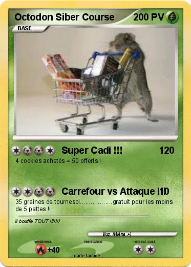 Pokemon Octodon Siber Course