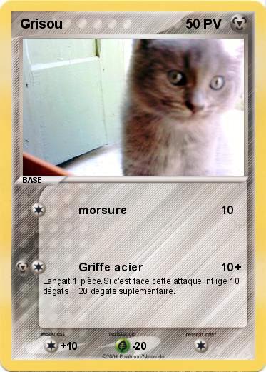 Pokemon Grisou