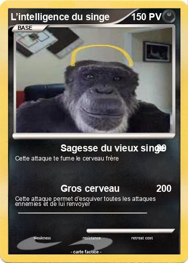 Pokemon L’intelligence du singe