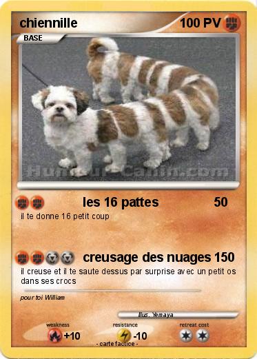 Pokemon chiennille