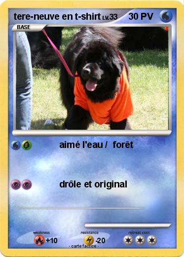 Pokemon tere-neuve en t-shirt