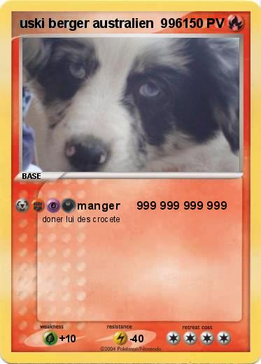Pokemon uski berger australien  996